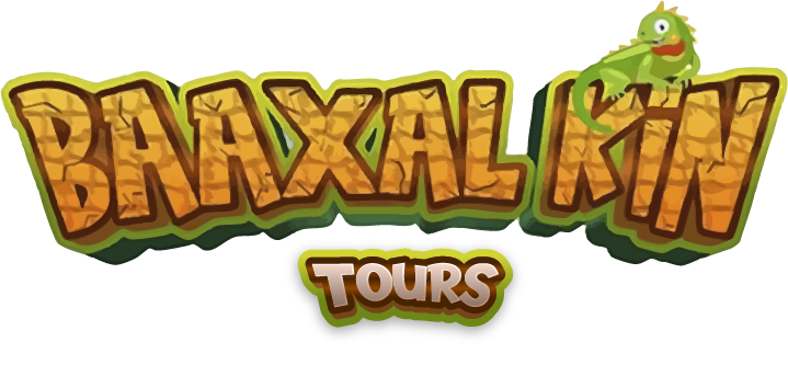 Logo Baaxal Kin Tours